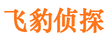 山亭市私家侦探